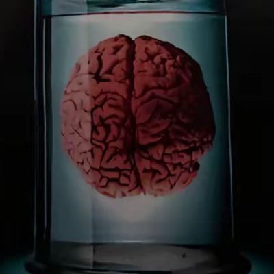 theguideC's profile picture. 