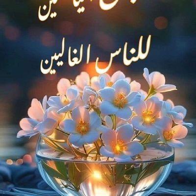 springf44909214's profile picture. 