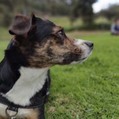 sdavid_mnzs's profile picture. .