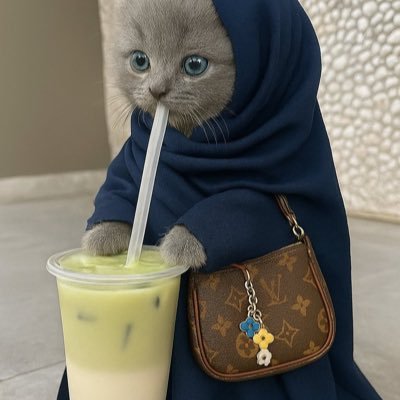 @noss5335i profile picture