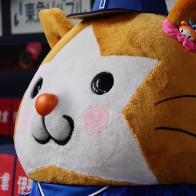 ebe321's profile picture. 広く浅いヲタク(雑多垢) / とき宣 アンジュ えびちゅう DeNA 卓球 ハロプロ スタダ / 情報収集が主 / アラサー♂️