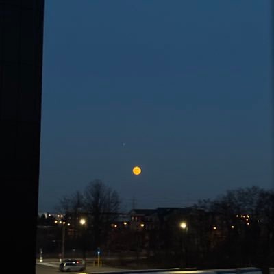 deepocean174's profile picture. 