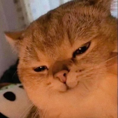 Pxxtxx1's profile picture. 