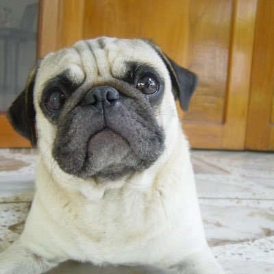 scottishblood78's profile picture. 