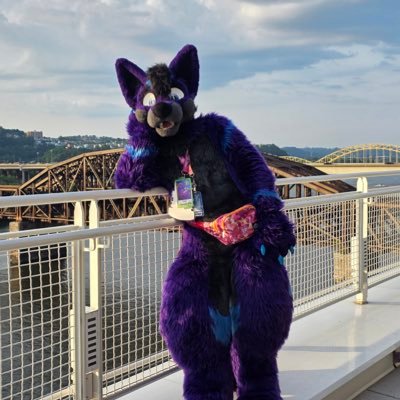 Hello! I currently live in Pittsburgh PA|| Cons 2025: AC, MFF|| A.S. Degree in Cybersecurity Operations 🔞: Minors DNI