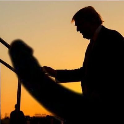 Adriano4229881's profile picture. 