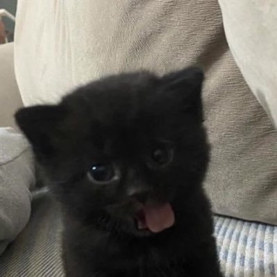 :P
