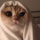 ♡ ‧₊˚ ⋅ for azriel + her ships ౨ৎ ‧₊ .ᐟ