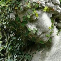 peaches month (@jesterfui) 's Twitter Profile