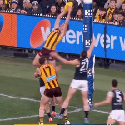 CallMeAlbot's profile picture. Iron Maiden, The Beatles, Hawthorn FC, Brisbane Broncos, Liverpool FC, Boston Celtics. Co-inventor of the pie. Friends with a Yogi Bear impersonator.