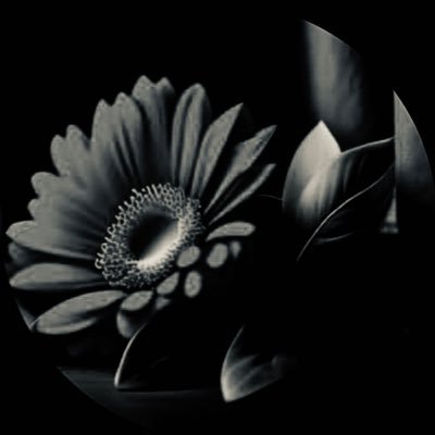 LanaM007's profile picture. 