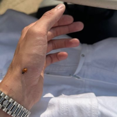 google2089's profile picture. The End ❤️🤍