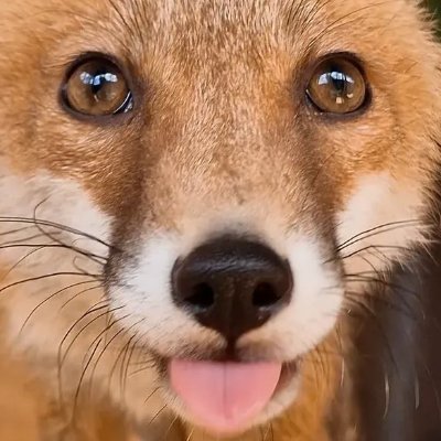 π―μμν μ£½μμ λ§μ΄νλ μ°π― Profile