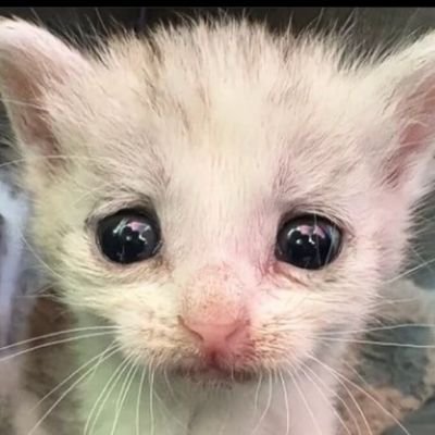 _FunkyMadness_'s profile picture. I dont what Im doing