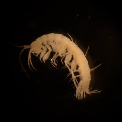 KG8I6ARp9AL9UWv's profile picture. 