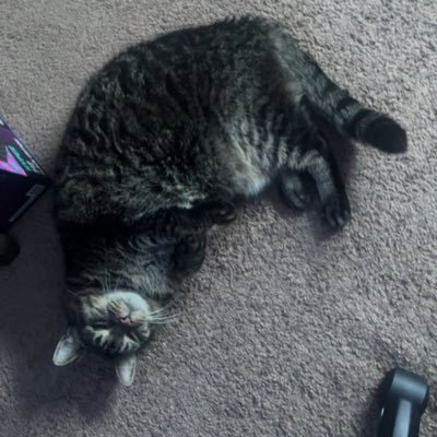 whysosealius's profile picture. 