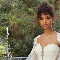 Tijuana (@honey_sala23397) 's Twitter Profile