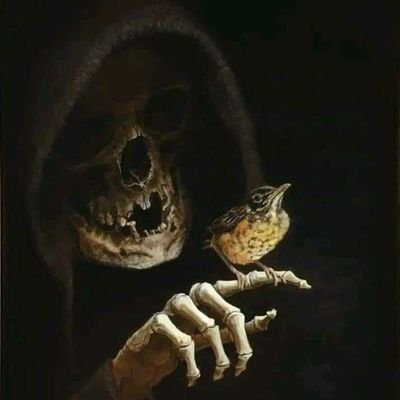 BrunoMbs09's profile picture. 