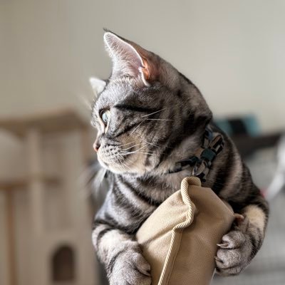 knishis's profile picture. C#好きのプログラマーです。