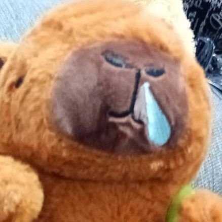 maxxxxxxoooooo's profile picture. boke