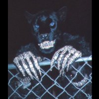 Ayooo313 (@ayooo313) 's Twitter Profile Photo Ayooo313 (@ayooo313) 's Twitter Profile Photo