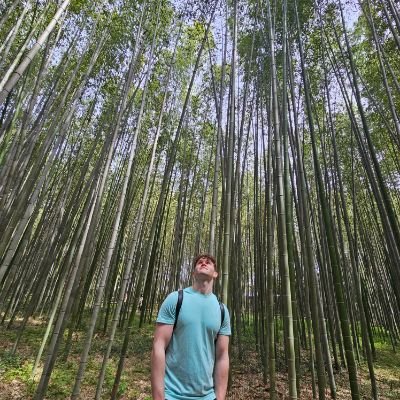 mac_maxxing's profile picture. technical artist & founder