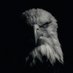 Eagle (@nightstalk12345) Twitter profile photo Eagle (@nightstalk12345) Twitter profile photo