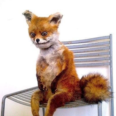 ClayGuzman974's profile picture. BIG GANGSTA OMM