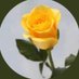 Sandra Kah (@sandrak63111) Twitter profile photo Sandra Kah (@sandrak63111) Twitter profile photo