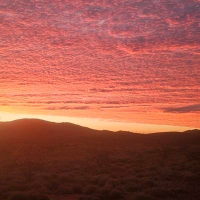 m_samaliah's profile picture. Only on Twitter to watch the Harkle trainwreck! 🇦🇺

***No reply to DMs.*** 🇦🇺