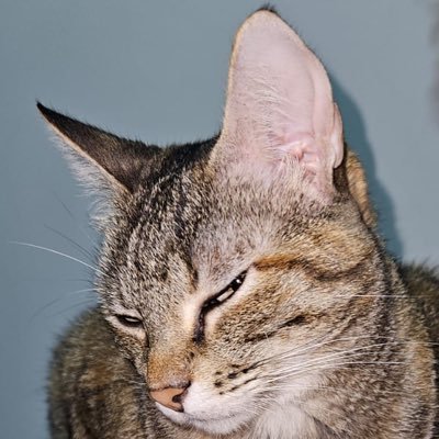 emo_viado's profile picture. we are born of the blood, made men by the blood, undone by the blood.  @huachengll 💍❤️