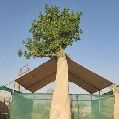 has89224's profile picture. 🇪🇬»»🇸🇦