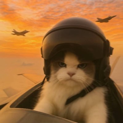 zhngsn64185564's profile picture. 