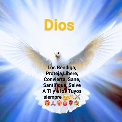 miriamocasio's profile picture. 💕😘🤗🫶⚔️🎁🙏🏼❤️‍🔥🩸🌹💐😇♀️♂️👩‍❤️‍👨🏡🏥🏭🇻🇦⛪️✝️🌎🙏🏼
católica🇻🇦