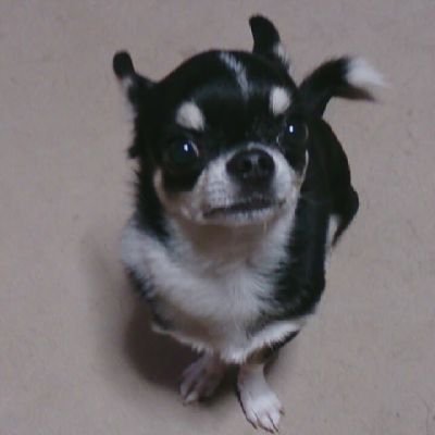 いわきFCを初期から応援して居ます
。自分のXに入れ無く成ってしまったので新しく作りました。これからもずっといわきFCを 応援していきます。元々フォローしてた方 勝手にフォローごめんなさい🙇🙇
