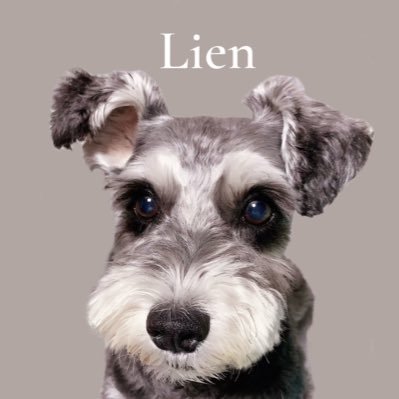 リアンさんのプロフィール画像