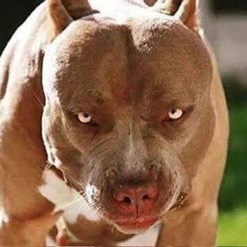 kageroureiga's profile picture. デュエマと遊戯王マスターデュエルをしています。アニメが好きです。よろしくお願いします。