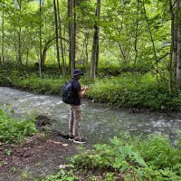 TDsatish (@tdsatish) 's Twitter Profile