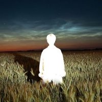 No (@followers_snp) 's Twitter Profile Photo No (@followers_snp) 's Twitter Profile Photo