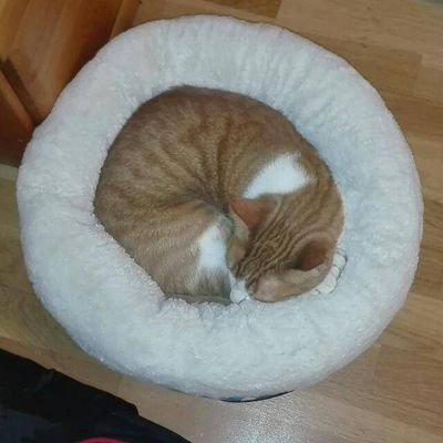 Technaz2's profile picture. 