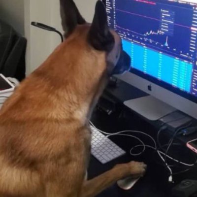 DefiKing_0x's profile picture. i trade. medical school. building arc