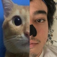 Miros 2.0 🧊 (@el__scary) 's Twitter Profile
