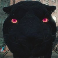 lyn (@lunarvisionary) 's Twitter Profile
