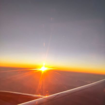 linghang2568NFT's profile picture. 传递最新资讯  
共建共享共荣