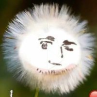 Mitsky Flour (@mitskyf_63) 's Twitter Profile