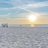 あおい. (@biggrapefan69) Twitter profile photo