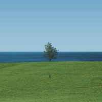 Luna52 (@msulcickas) 's Twitter Profile