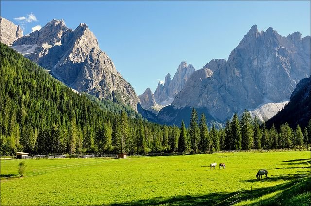 oneguardgirlsa's profile picture. ゆるく絡んでください！