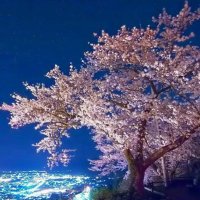 羽 (@takatn1010) 's Twitter Profile