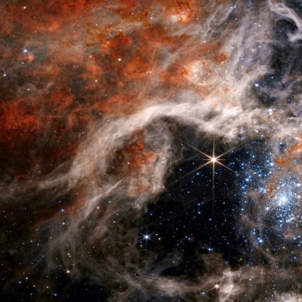 SRRoberto10's profile picture. 